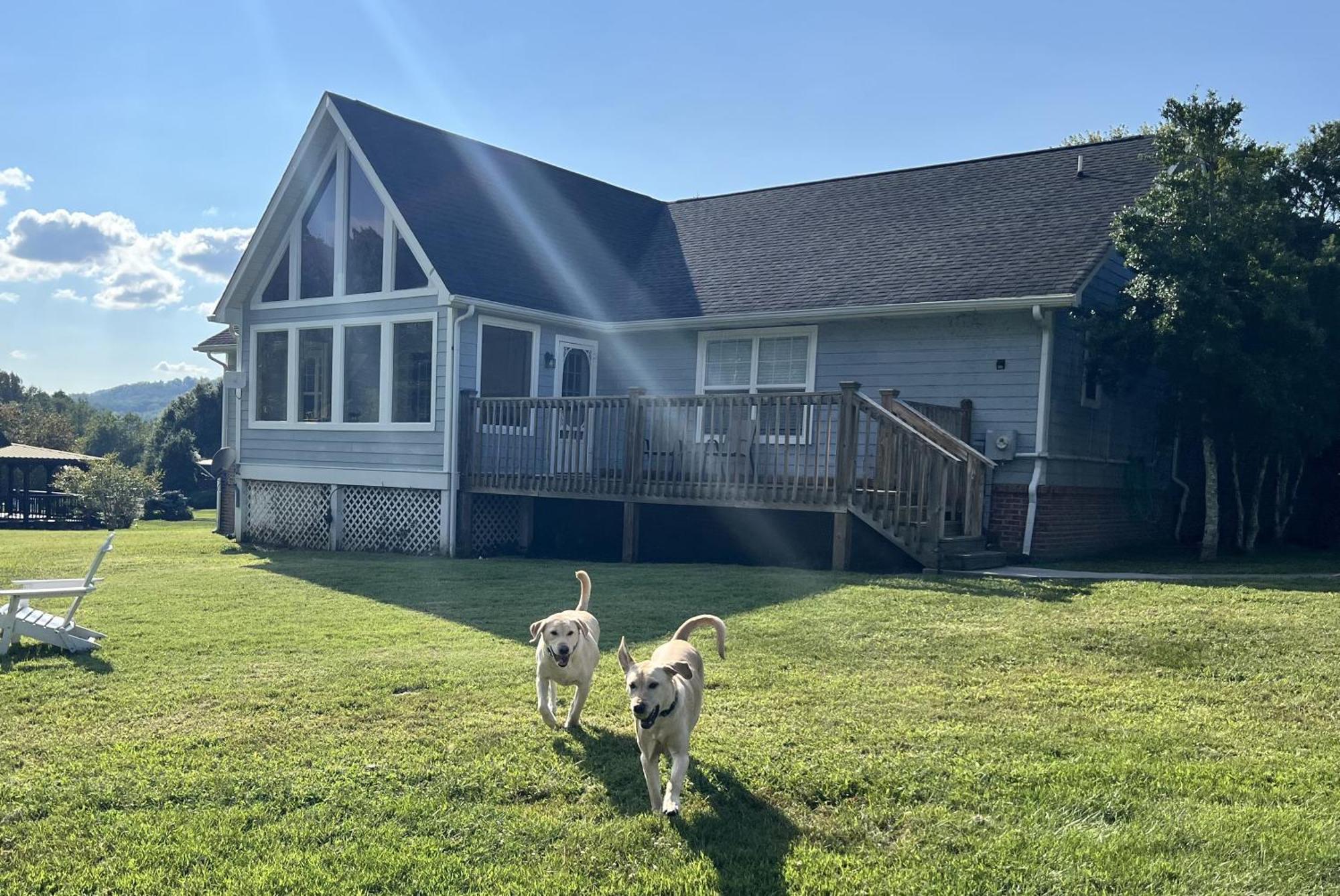 Bears Valley Inn - Great Location! - Peaceful, Children And Dog Friendly Retreat - Less Than 15 Min To All Attractions - Private Pool Club & Fishing Hole - Game Room With Tv سيفيرفيل المظهر الخارجي الصورة